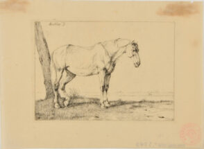 Horse Standing by a Tree