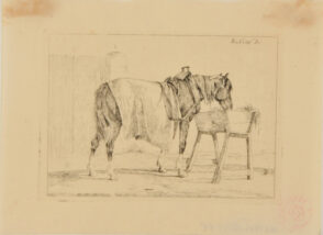 Horse with Blanket Eating Hay out of Box