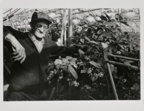 Walther Gardens, Baltimore.