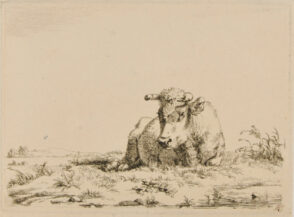 Ox Lying Down, Turned to Left