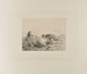 Landscape with Three Sheep and a Goat