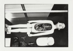 Wooden Anatomical Model