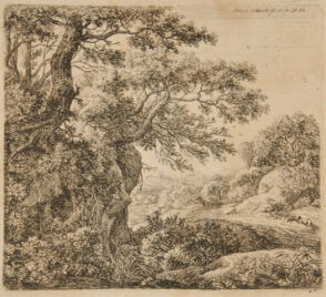 A Man Sleeping Beside a Road