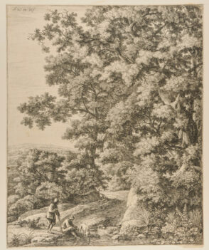 A Dog Drinking from a Stream