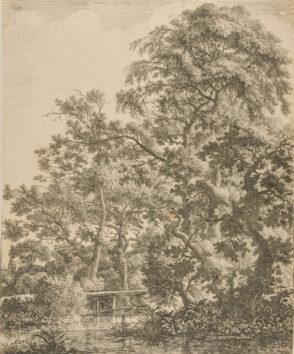 A Small Bridge Over a Stream