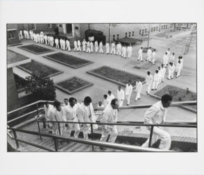 Meal line, The Walls