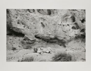 From the portfolio “Teenage Lust”