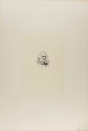 Portrait of Man with Bushy White Hair and Sideburns