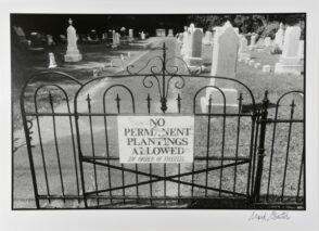 No Permanent Plantings, New York State, 1984