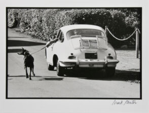 Walking the Dog, San Francisco, California, 1975