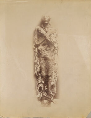 Mummy of Seti I, 19th Dynasty, Cairo Egyptian Museum