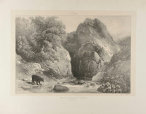 L’Ours des montagnes d’Oliferne