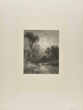 Cattle Fording a Stream