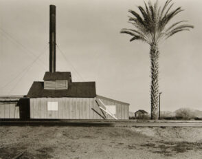 Powerhouse and Palm Tree, near Lordsburg, New Mexico