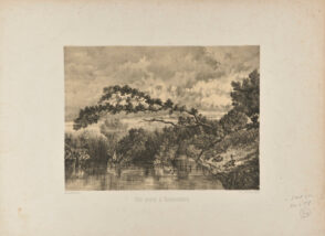 Une Mare à Rochecorbou