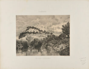 Une Mare à Rochecorbou