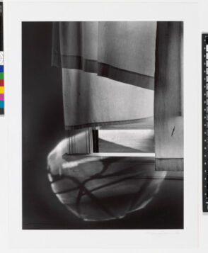 Windowsill Daydreaming, Rochester, New York