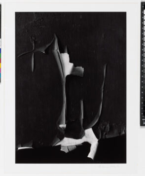 Peeled Paint, Rochester, New York