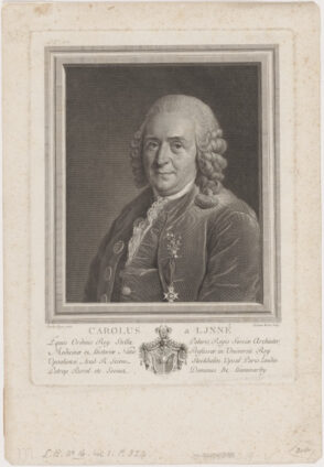 Portait of Carl Linnaeus