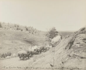 ‘#383 Jerkline Twelve’ on the Old Freight Road