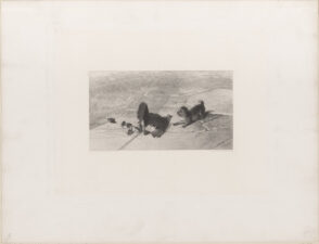 Hen Defending Her Chicks