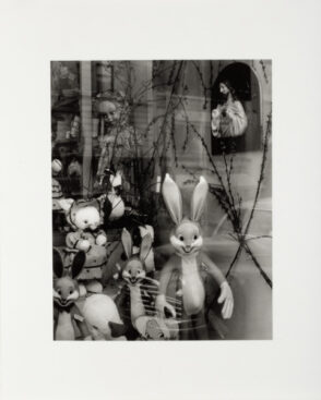 On Walls and Behind Glass, 17