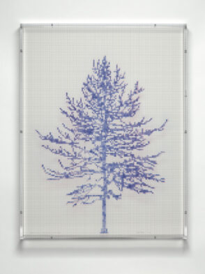 Numbers and Trees, Tiergarten Series 3: Tree #1, April