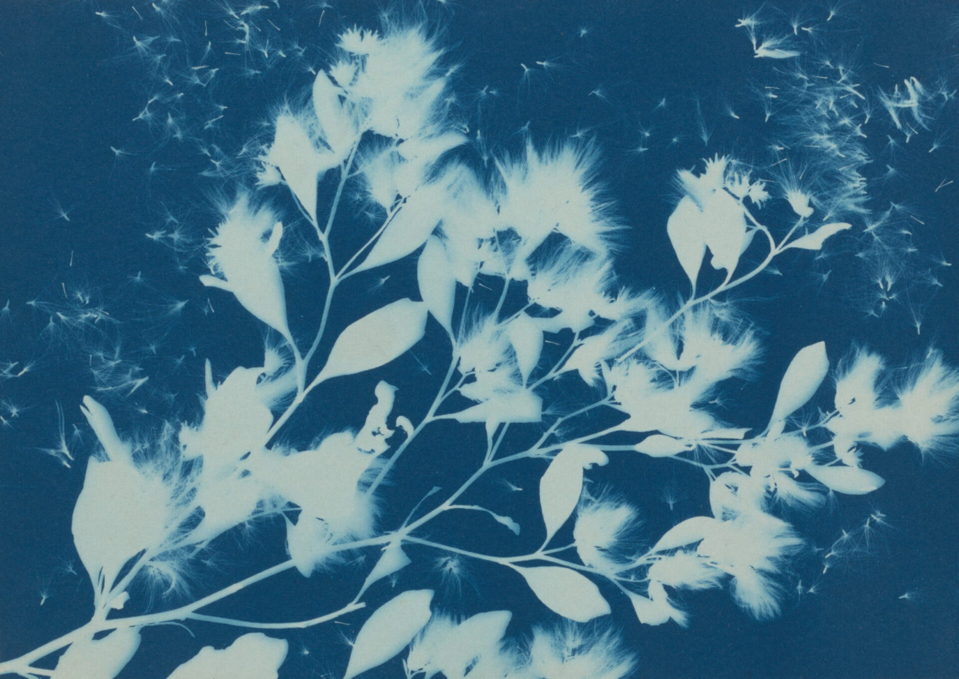 Engaging the Elements: Poetry in Nature